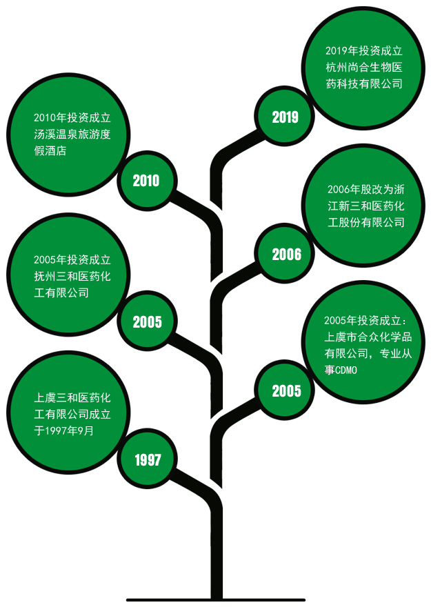 发展历程